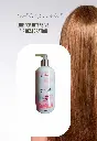 DAILY CARE.webp
